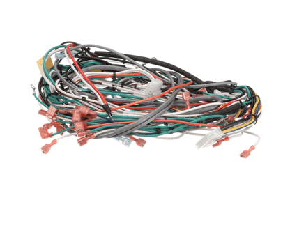 Wilbur Curtis 3375000634 Harness, Assembly Complete Pcgt5 (WCWC-13245)