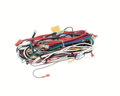 Wilbur Curtis 3375000840 Harness Assembly, Complete Tp2T10 (WCWC-13335)