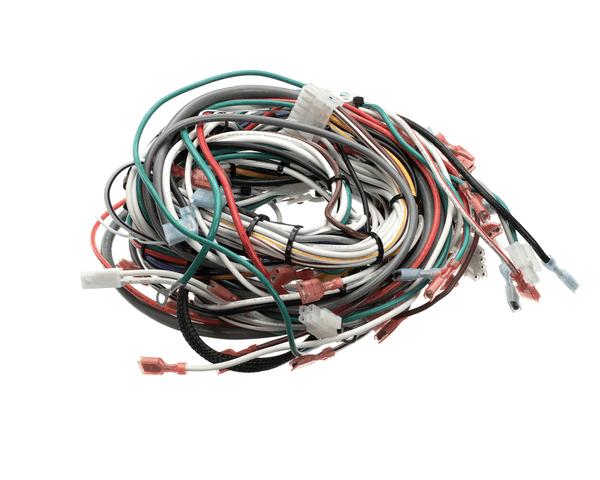 Wilbur Curtis 3375001471 Harness, Assembly Complete Pcgt6 (WCWC-13467)