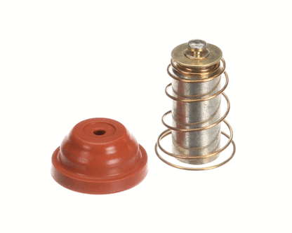 Wilbur Curtis 3375000229 Kit,Valve Repair Use On Inven (WCWC-3766)