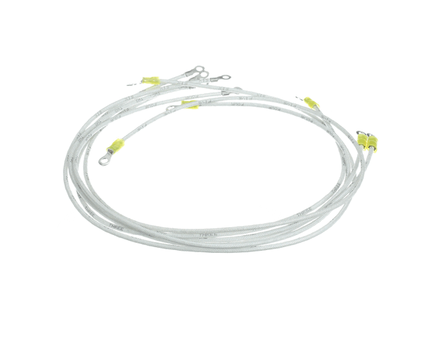 Wells 2E-300498 Wire Set B-50 506 208/240 (WEL2E-300498)