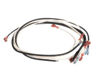 Wells 2E-Z22156 Wire Kit -Bwb (WEL2E-Z22156)