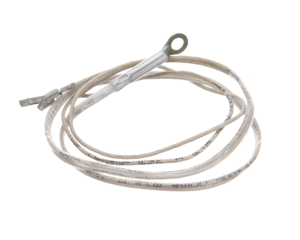Wells 2J-Z16743 Probe-Temp-Rtd-2K (WEL2J-Z16743)