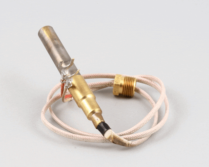 Wells 2T-42195 Thermopile, FGS-40 WEL2T-42195 (WEL2T-42195)