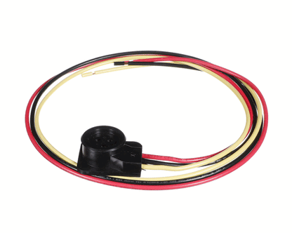 Whalen Company Pccbplug Power Cord With Plug For Copeland Scroll (WHLEPCCBPLUG)