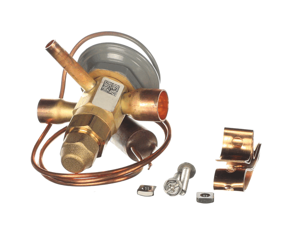 Whalen Company Pdxexpbbize1.15 Bbize-1-Ga -Bp15, Thermal Expansion Valv (WHLEPDXEXPBBIZE1-15)