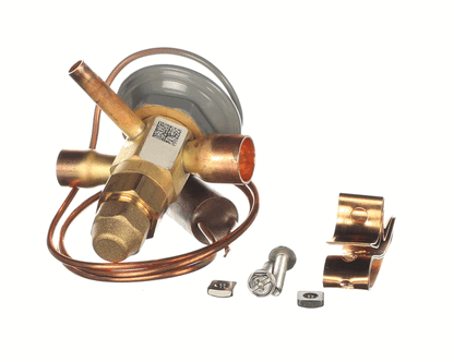 Whalen Company Pdxexpbbize1.15 Bbize-1-Ga -Bp15, Thermal Expansion Valv (WHLEPDXEXPBBIZE1-15)