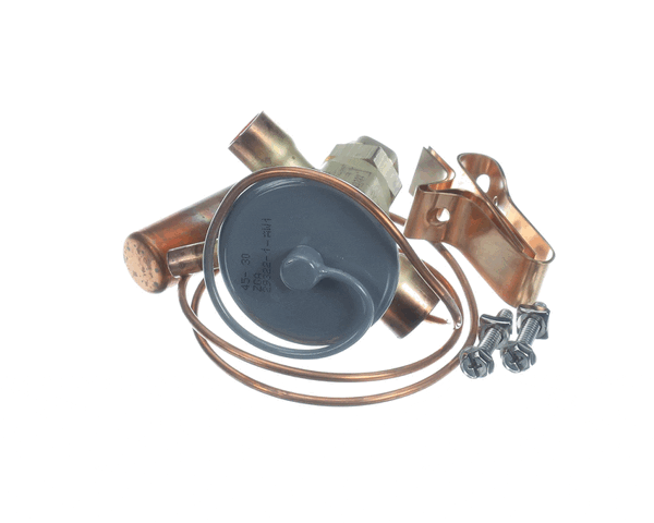 Whalen Company Pdxexpbbize3.20 Valve Expan (5X4X2) Cas  36/42 (WHLEPDXEXPBBIZE3-20)