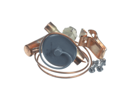 Whalen Company Pdxexpbbize3.20 Valve Expan (5X4X2) Cas  36/42 (WHLEPDXEXPBBIZE3-20)