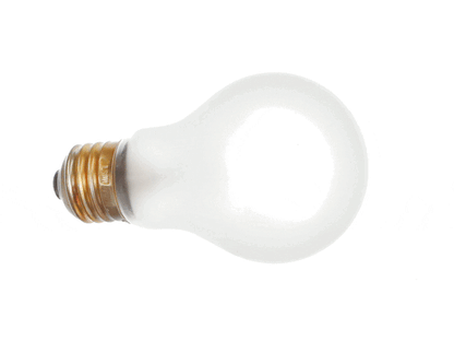 Wisco 0019172 14W Fluorescent Light Bulb (WSCO0019172)