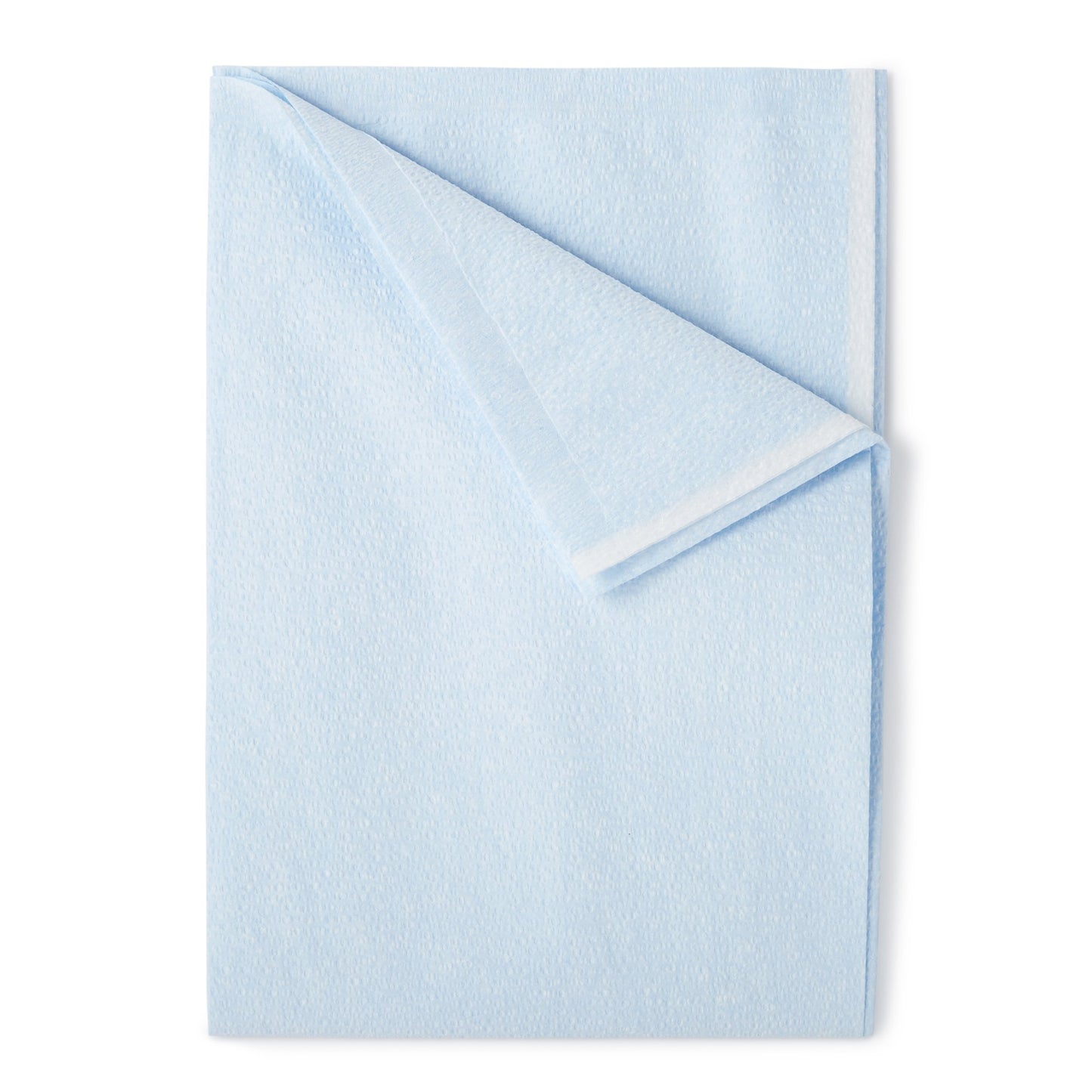 Everyday® Pillowcase Blue Disposable (712695_CS)
