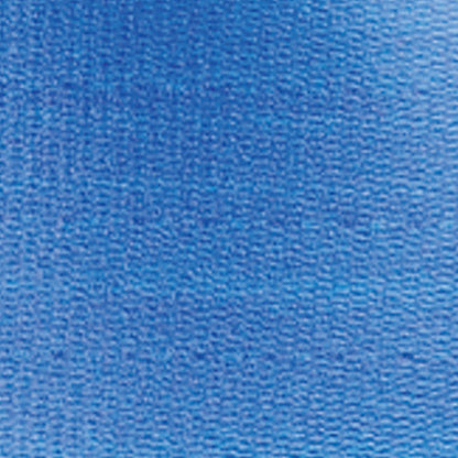 SkiL-Care™ PathoShield Gait Belt 60 Inch Length Blue Plastic Coated Webbing (722382_EA)