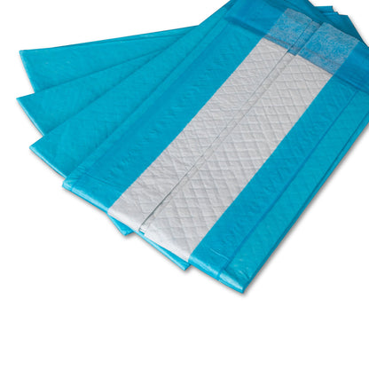 DUKAL Disposable Underpad 23 X 24 Inch Cellulose Light Absorbency (863075_BX)