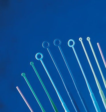 Copan Diagnostics Inoculating Loop 10 µL Plastic Integrated Handle Sterile (997804_BG)