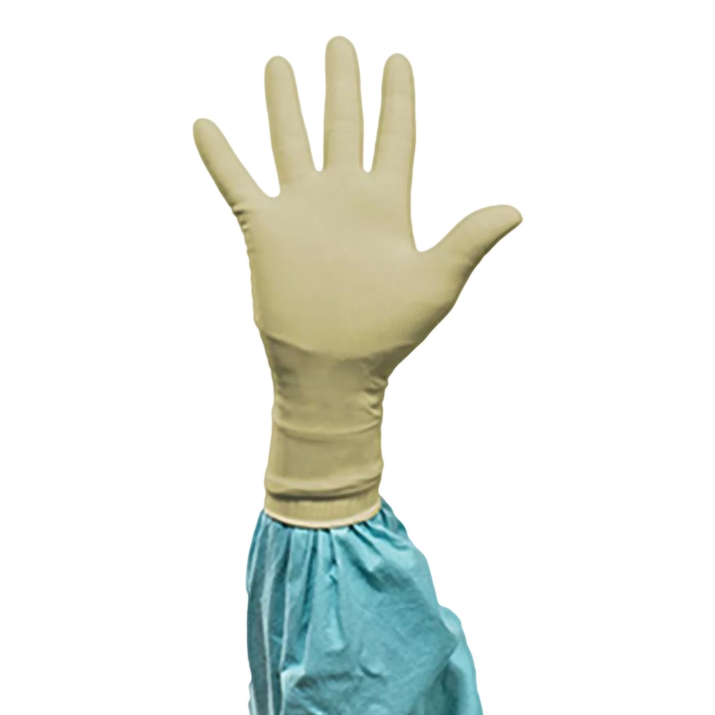 Biogel® PI Surgical Glove Size 7 Sterile Polyisoprene Standard Cuff Length Micro-Textured Ivory Chemo Tested (1129976_BX)