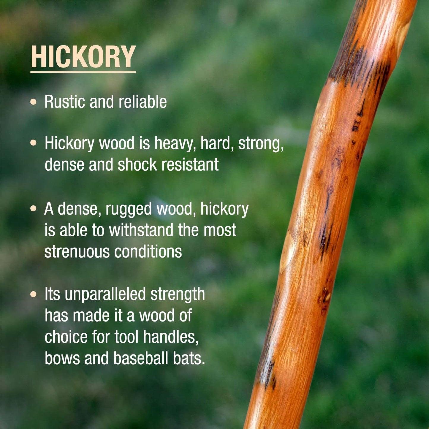 Brazos™ Walking Stick Wood 55 Inch Height Safari (1229023_EA)