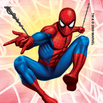 Value Stickers™ 100 per Roll Spider-Man Classic Value Sticker 1-5/8 Inch (726588_RL)