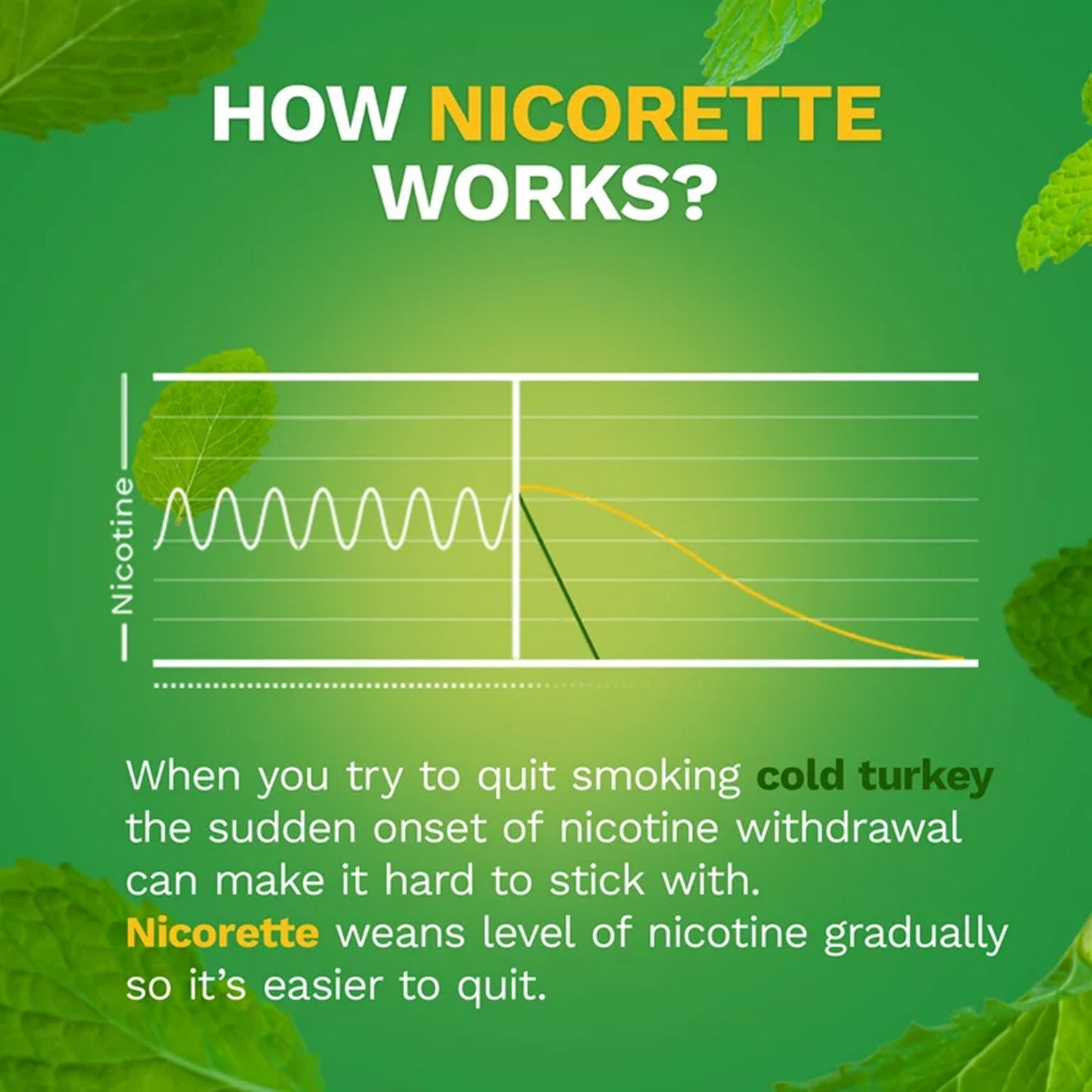Nicorette® Stop Smoking Aid 4 mg Strength Gum (1230560_CT)