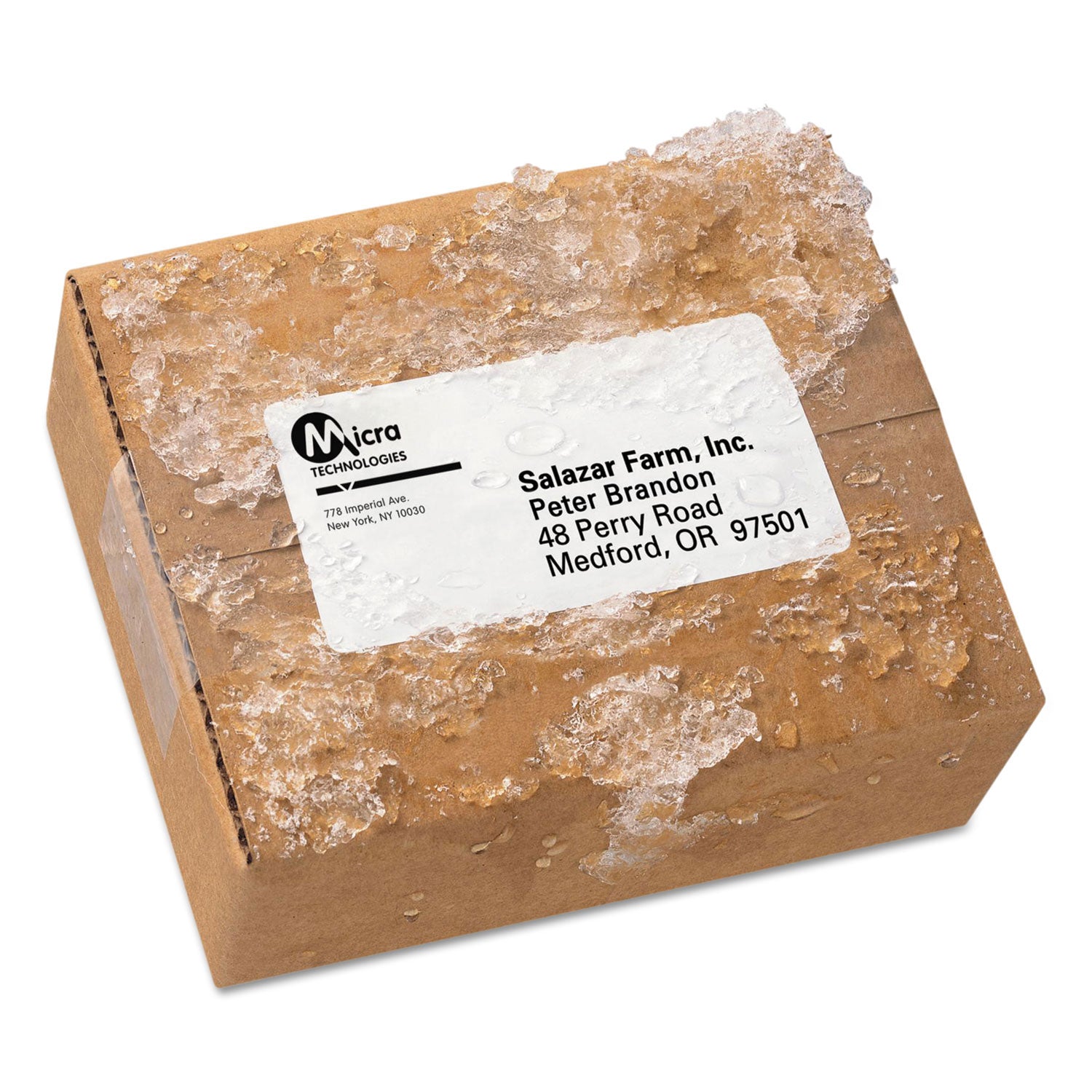 Avery Waterproof Shipping Labels with TrueBlock and Sure Feed, Laser P ...