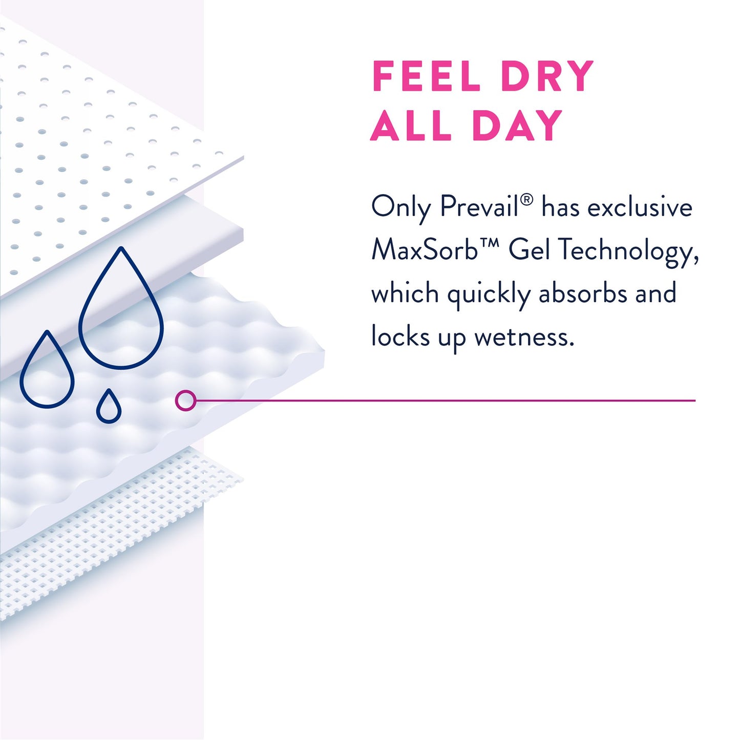 Prevail® Daily Underwear Female Adult Absorbent Underwear Pull On with Tear Away Seams Large Disposable Heavy Absorbency (889082_CS)