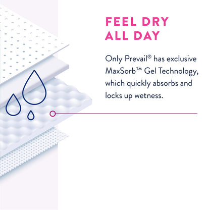 Prevail® Daily Underwear Female Adult Absorbent Underwear Pull On with Tear Away Seams Large Disposable Heavy Absorbency (889082_CS)