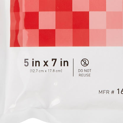 McKesson Instant Hot Pack General Purpose Small Plastic Disposable (520561_EA)