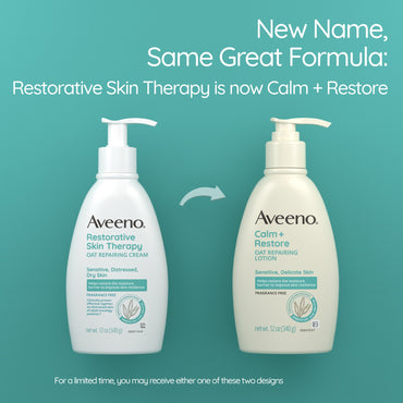Aveeno® Calm + Restore Oat Replenishing Lotion Hand and Body Moisturizer 12 oz. Pump Bottle Unscented Lotion (1228814_EA)