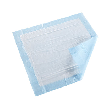 McKesson Classic Plus Disposable Underpad 23 X 24 Inch Fluff / Polymer Light Absorbency (730985_BG)