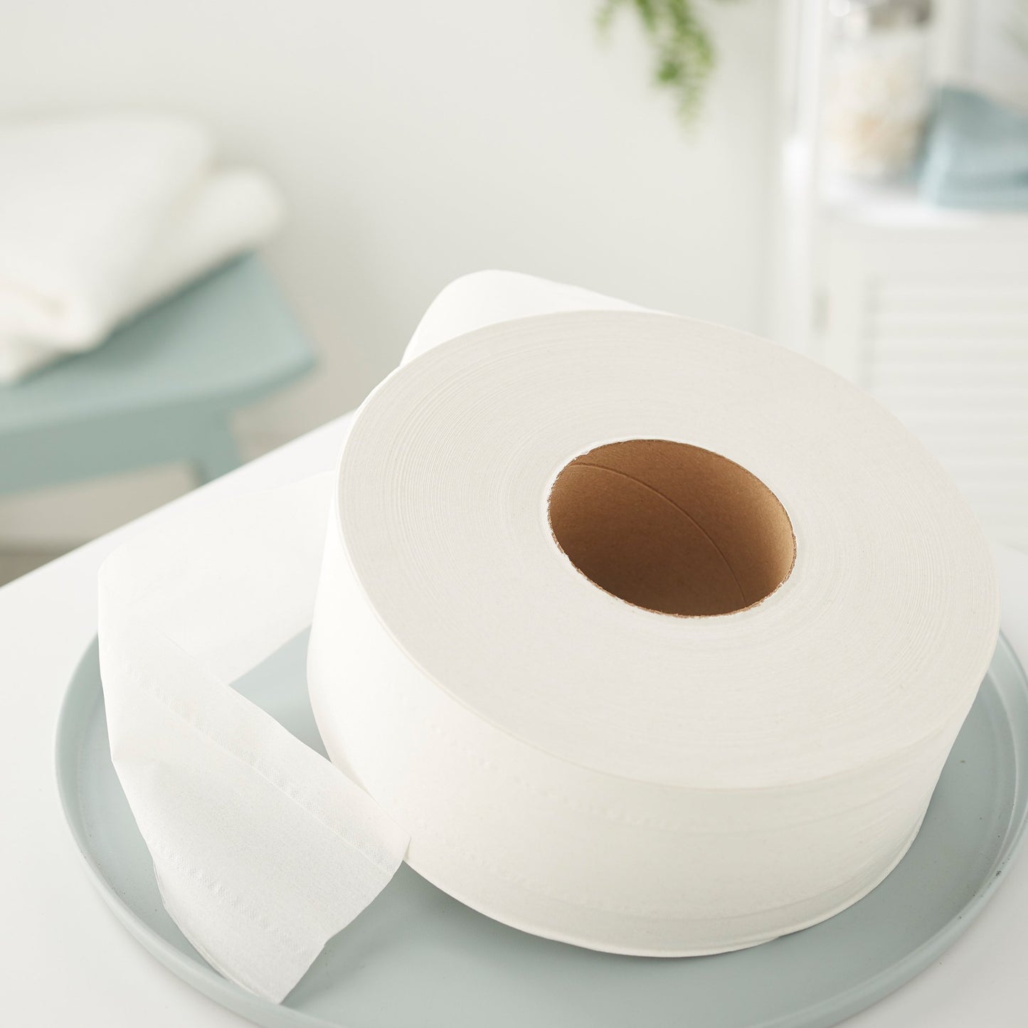 Scott® Essential 100% Recycled Fiber JRT Toilet Tissue White 2-Ply Jumbo Size Cored Roll Continuous Sheet 3-11/20 Inch X 1000 Foot (816401_CS)