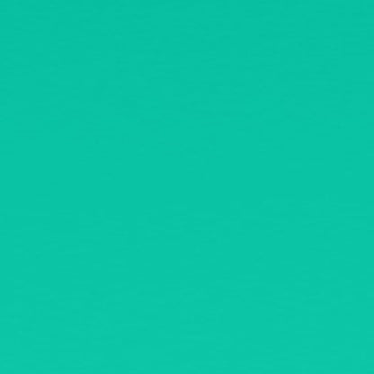 ISSA™ baby Sonic Toothbrush Kiwi Green Panda Ages Birth to 4 Years Silicone (1252886_EA)