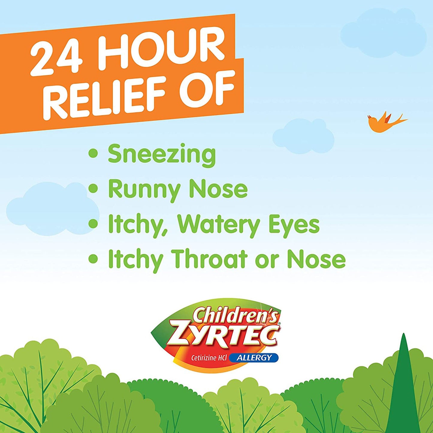 Children's Zyrtec Children's Allergy Relief 1 mg / 1 mL Strength Syrup 4 oz. (1119047_EA)