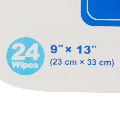 Flush Away Adult Flushable Personal Wipe Soft Pack Scented 24 Count (903652_PK)