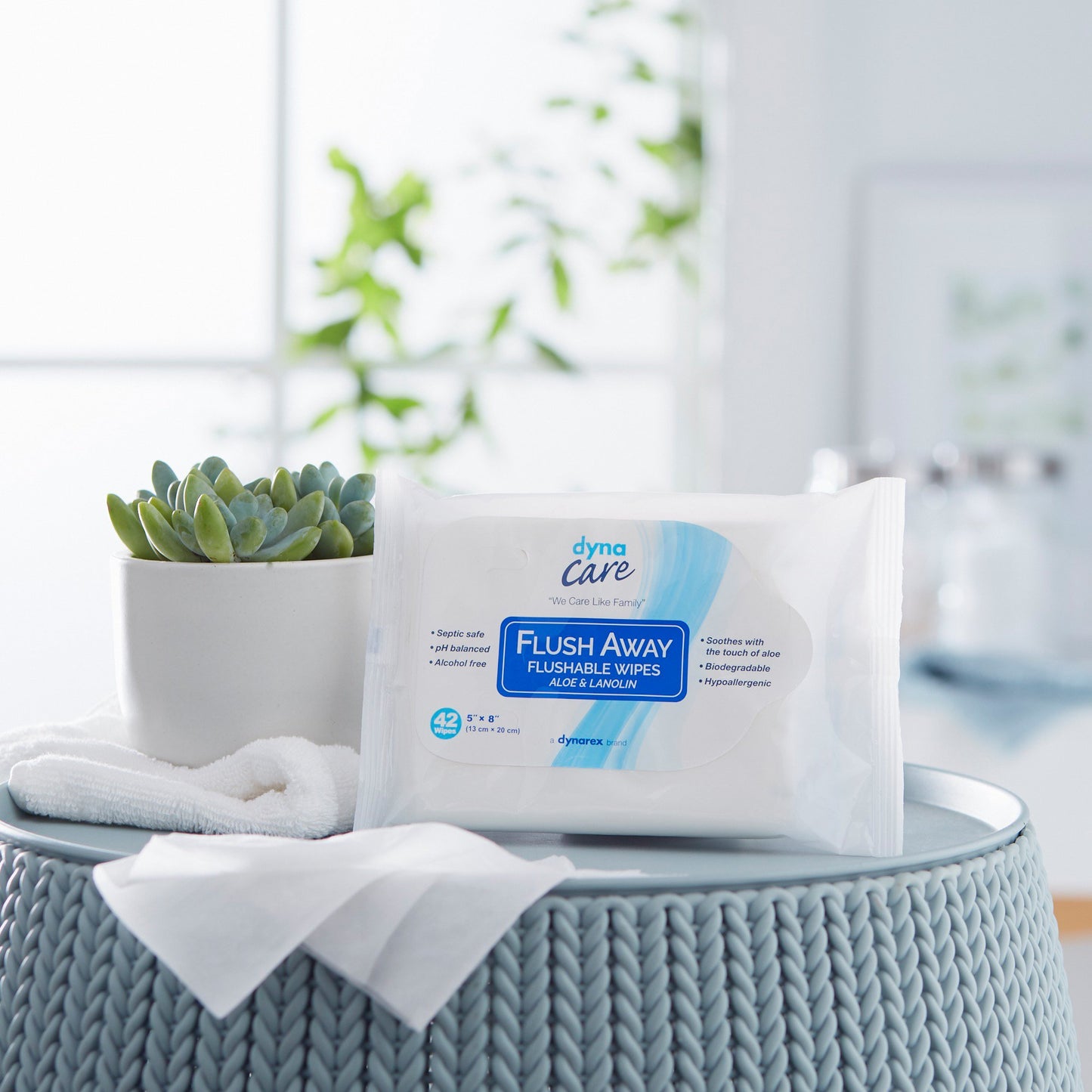 Flush Away Junior Flushable Personal Wipe Soft Pack Scented 12 Count (903687_BX)