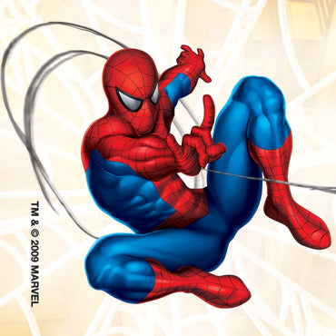 Value Stickers™ 100 per Roll Spider-Man Classic Value Sticker 1-5/8 Inch (726588_RL)