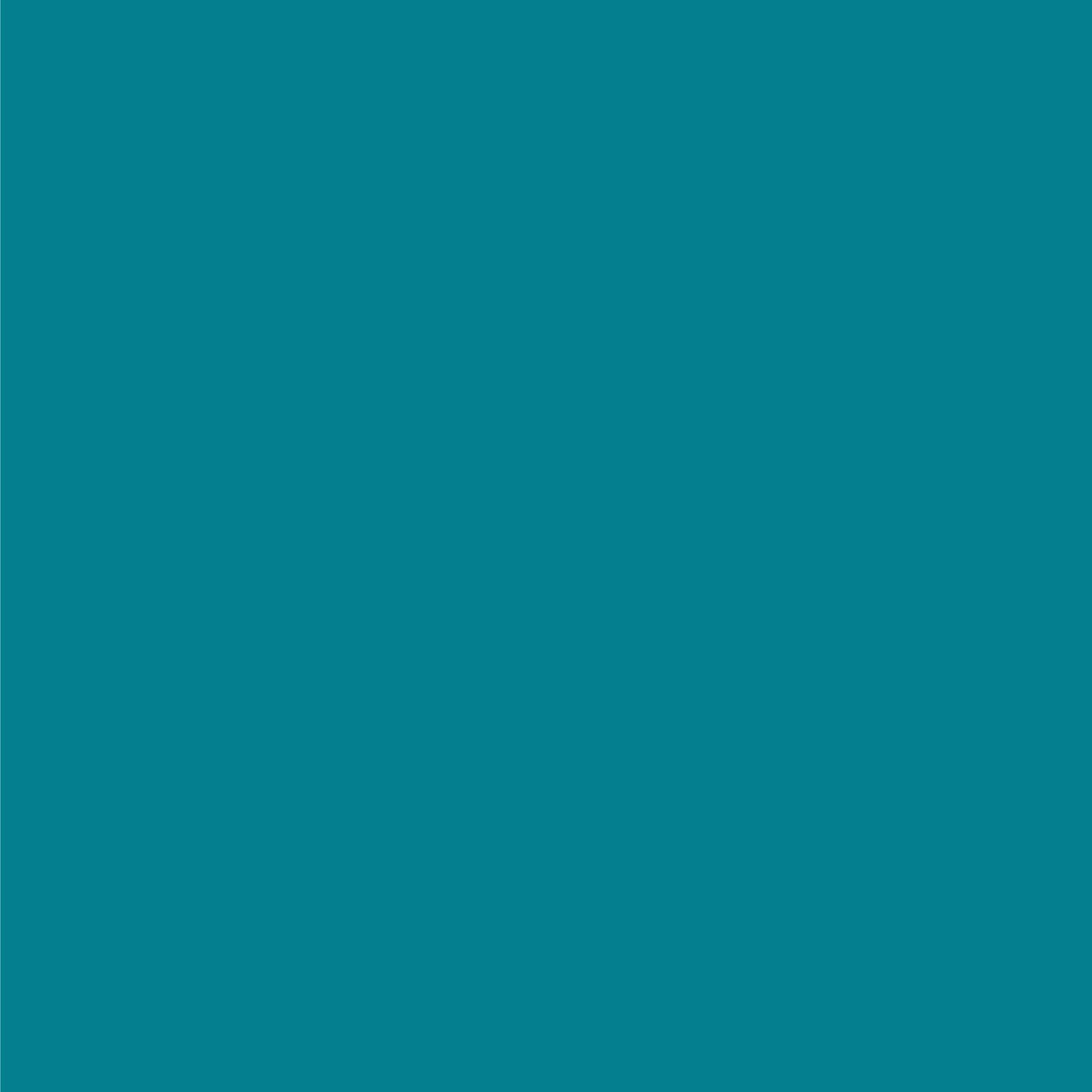3M™ Littmann® Lightweight II S.E. General Exam Stethoscope Caribbean Blue 1-Tube 28 Inch Tube Double Sided Chestpiece (466398_EA)