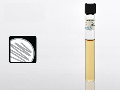 Hardy Diagnostics Prepared Media Thioglycollate Medium Beige Tube Format (914513_BX)