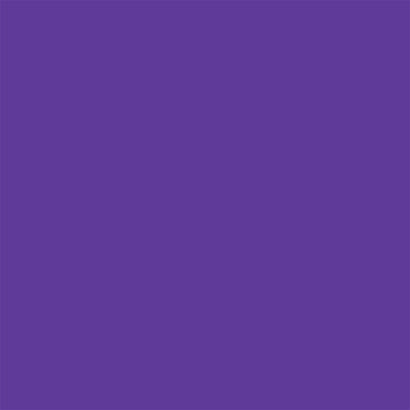 Delta-Lite® Plus Cast Tape 3 Inch X 12 Foot Fiberglass / Resin Purple (653389_BX)