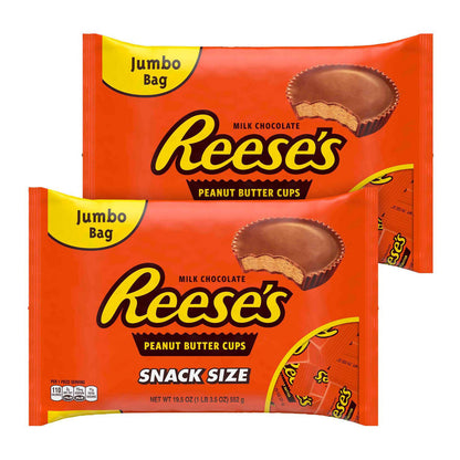 Reese's Snack Size Peanut Butter Cups, 19.5 oz Bag, 2 Bags/Carton (GRR60004058)